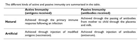 Adaptive immunity can also be classified as 'active' or 'passive'. Active immunity Vs passive immunity. | Nursing stuff ...