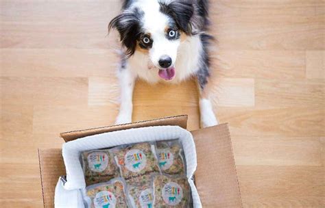 Order food delivery or take out online. Get Fresh Dog Food Delivery For Cheap | petswithlove.us