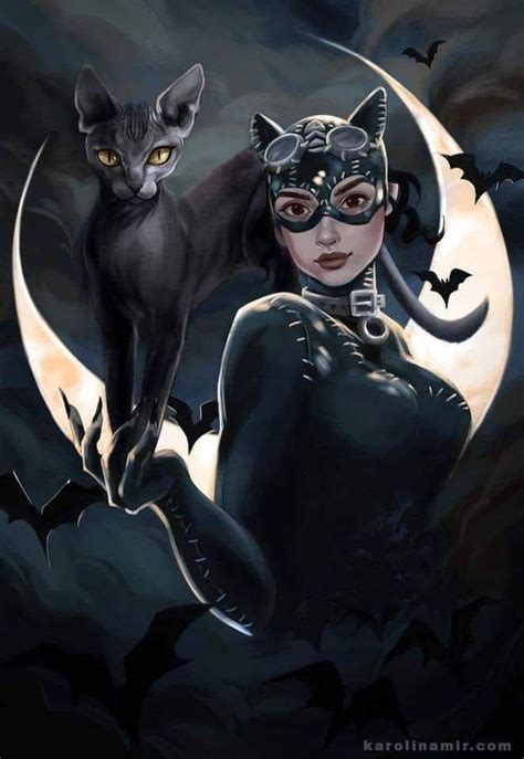 Pin By Terry Booth On Me And Cats Batman And Catwoman Catwoman Comic