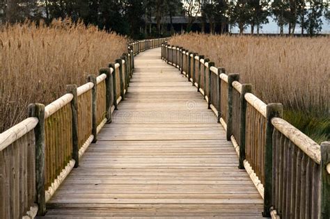 Wood Walkway Built Over Marsh Water Stock Image Image Of Exploration