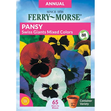 Pansy Swiss Giant Mixed Colors Flower Plants Bulbs And Seeds At