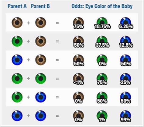 The eye color chart hubpages eye colour chart with photos of real