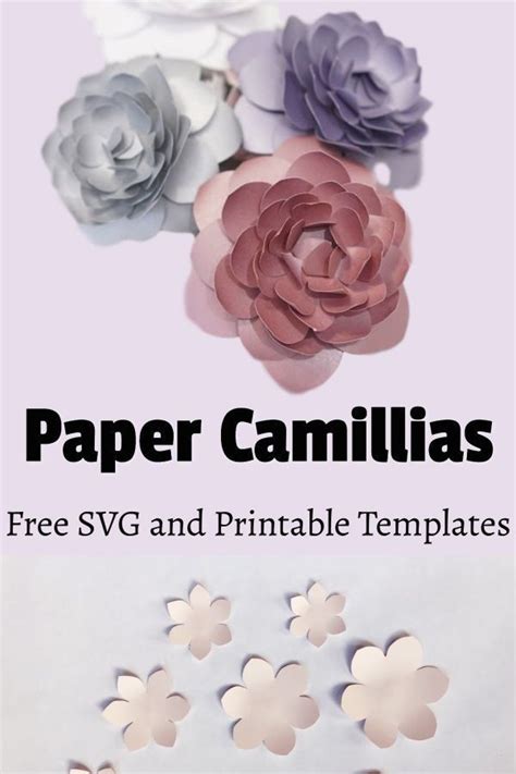 Diy Paper Camellia With Free Flower Template Domestic Heights