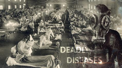 Deadly Diseases In History Historydraft