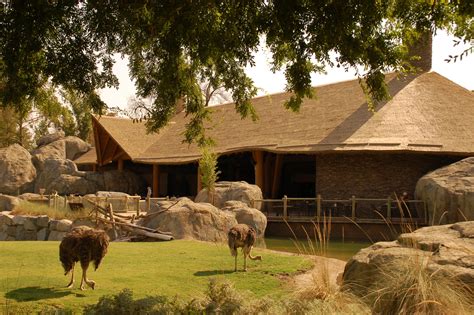 Fresno Chaffee Zoo - African Adventure — MLA Engineering - Consulting