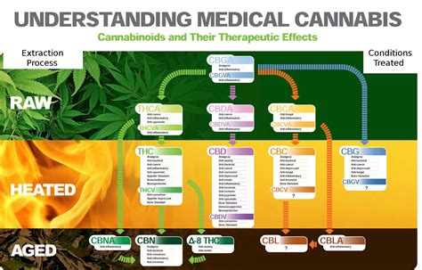 understanding medical cannabis nexus newsfeed
