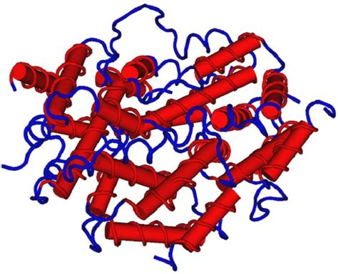 Biblioteca Dorotea Barnés Identifican La Función De Una Proteína