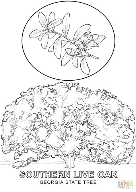 ✓ free for commercial use ✓ high quality images. Georgia Coloring Pages at GetColorings.com | Free ...