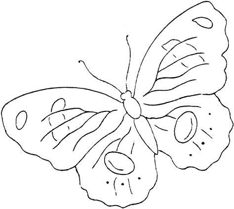 We did not find results for: Free Printable Butterfly Coloring Pages For Kids