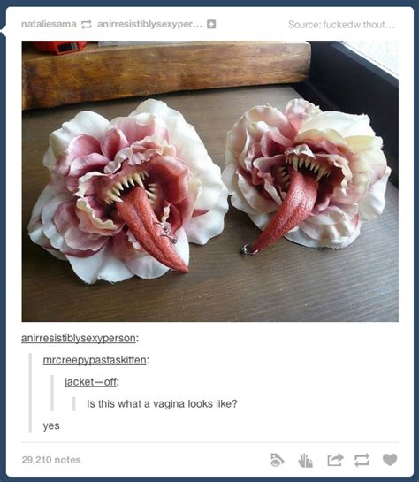 Vagina Tumblr Know Your Meme