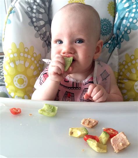 The Best Baby Led Weaning What Foods Ideas Quicklyzz