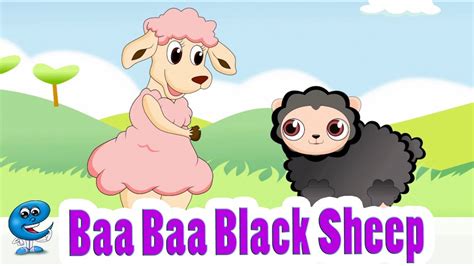 Who lives down the lane. Baa Baa Black Sheep with Lyrics - Kids Songs and Nursery ...