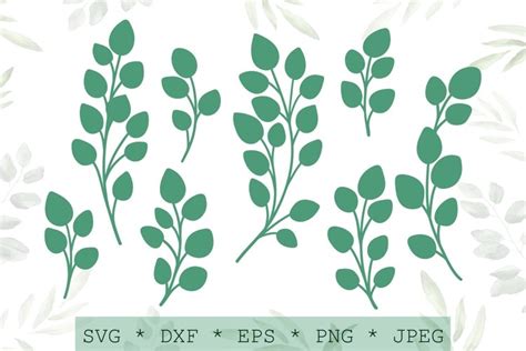 Eucalyptus Branches Clipart Greenery Svg Cut Files