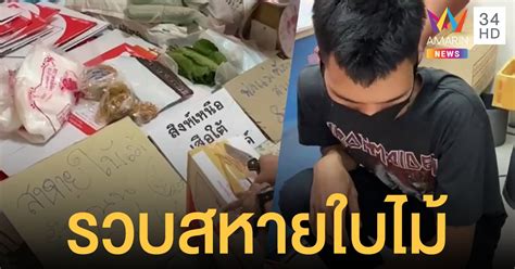 ยาแผนโบราณของไทยจะใช้ใบกระทุ่มนา (แทนใบกระท่อม) เป็นยาแก้ท้องร่วง ปวดมวนท้อง ซึ่งมีฤทธิ์เหมือนใบกระท่อม แต่อ่อนกว่า. รวบพ่อค้าใบกระท่อมออนไลน์คาไปรษณีย์ ค้นบ้านเจออีก 56 โล