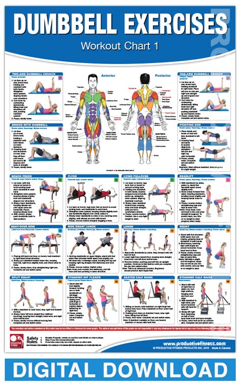 Chart Of Dumbbell Exercises Free Printable Templates Printable