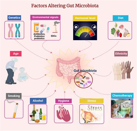 Frontiers Gut And Genital Tract Microbiomes Dysbiosis And Link To