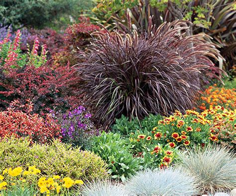 22 to 26 inches tall and wide bloom time: 17 Top Ornamental Grasses