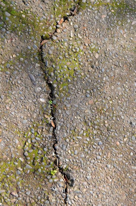 Cracked Pavement Stock Image Image Of Decay Damaged 1436675