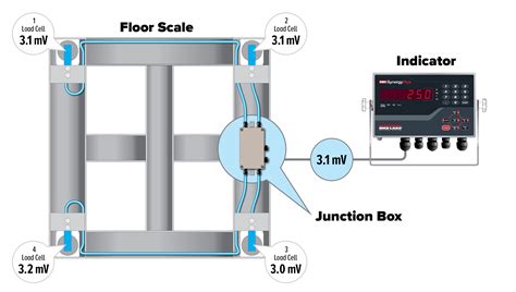 The Basics Of Load Cell Wiring And Trimming Weighing News