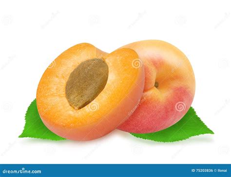 Two Fresh Apricots And Leaves Stock Photo Image Of Nutrient Cutted