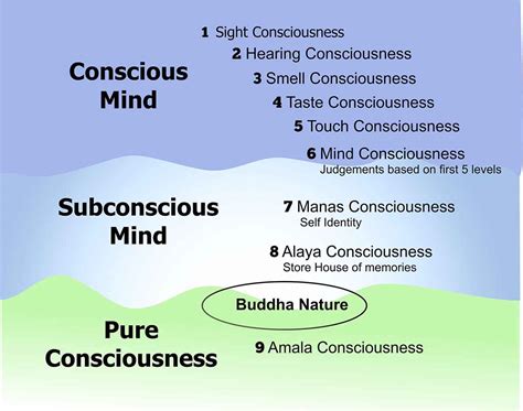 9 Levels Of Consciousness Margaret Blaine