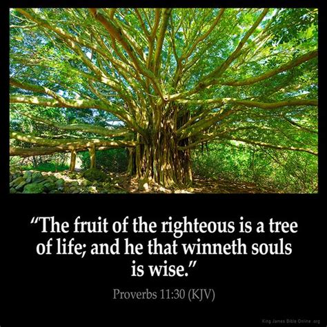Proverbs 1130 Bible King James Version Trees And A Tree