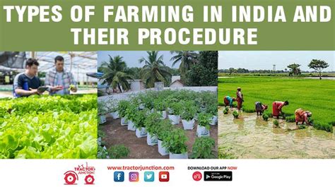 Types Of Farming In India Procedure Benefits And Role