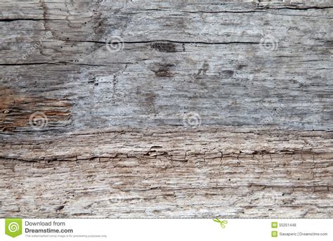 Driftwood Texture Stock Photo Image Of Twigs Crackle