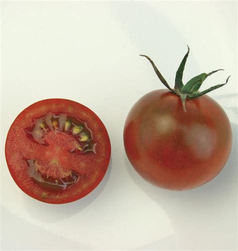 Sunchocola Cherry Tomato West Coast Seeds
