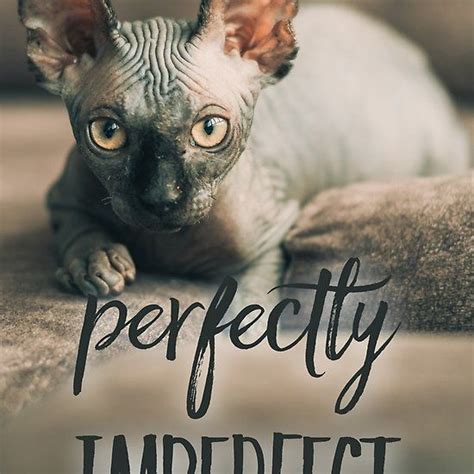 Perfectly Imperfect One Should Remind Oneself Daily With Inspirational