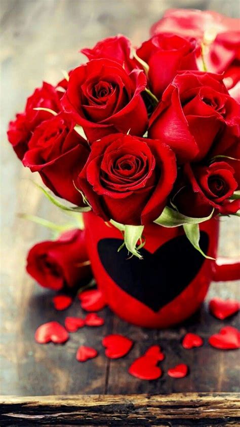 Pin De Hannelore Stock Em Herzen And Rosen ♥️⚘ Rosas Vermelhas Rosas
