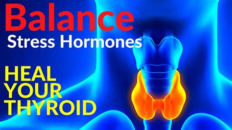 Balance Your Stress Hormones To Heal Your Thyroid Naturally