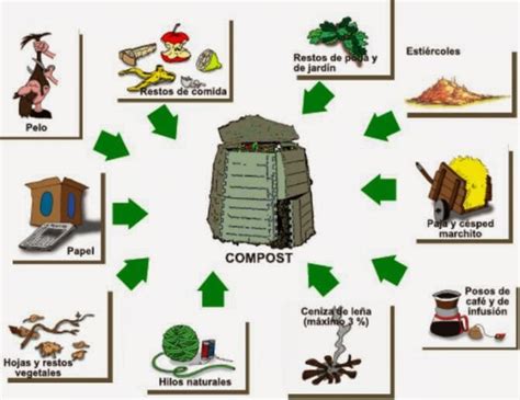 Ceuja Verano Ciencias Naturales 3ero ElaboraciÓn De Compost En Nuestra