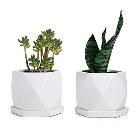 Greenaholics Ceramic Plant Pots 5 Inch White Small Flower Planters