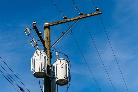 How To Protect Electrical Transformer Utility Poles From Pests