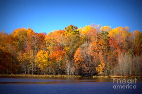 Fair Weather Colors Photograph by Beth Phifer | Fine Art America