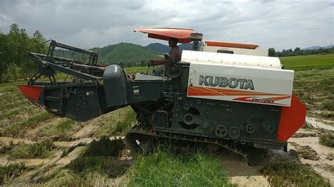Rice Harvesting At Country Side Part 5 Combine Harvester Kubota Dc 70