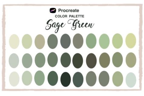 Urban Olive Green Color Swatches Procreate Color Pale