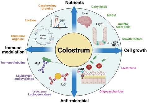 Nutrients Free Full Text Potential Benefits Of Bovine Colostrum In