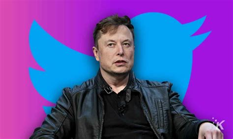 Elon Musk Teases A New Twitter Ceo What Is He Hiding