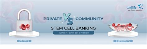 private vs community stem cell banking know the difference
