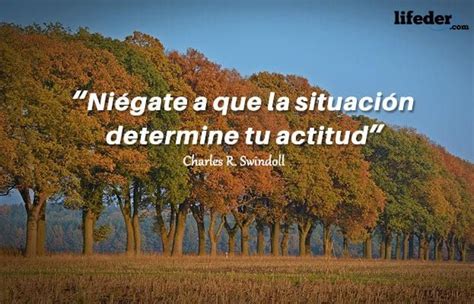 150 Pensamientos Positivos Cortos Con Imágenes Lifeder En 2020