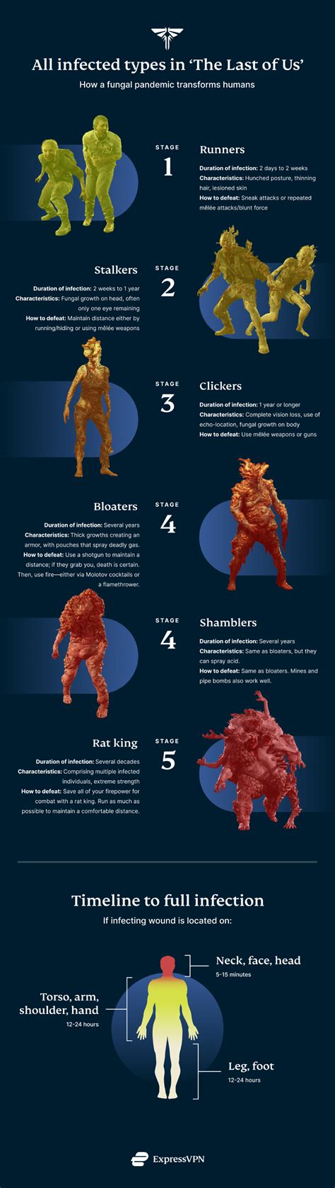 Types Of Zombies In ‘the Last Of Us Explained Expressvpn Blog