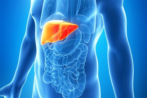 Liver Cancer Symptoms And Treatment Live Science