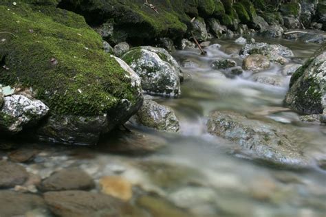 Images Gratuites Paysage Eau La Nature Forêt Roche Ruisseau