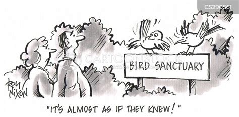 Bird Sanctuary Cartoons And Comics Funny Pictures From Cartoonstock