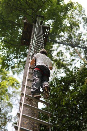 Ia merupakan salah satu daya tarikan dan menjadi tempat tumpuan orang ramai khususnya warga kota shah alam untuk menikmati hiburan santai bersama keluarga. Skytrex Adventure (Shah Alam) - 2019 All You Need to Know ...