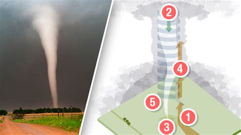 Infografía Cinco Pasos Que Explican Cómo Se Genera Un Tornado