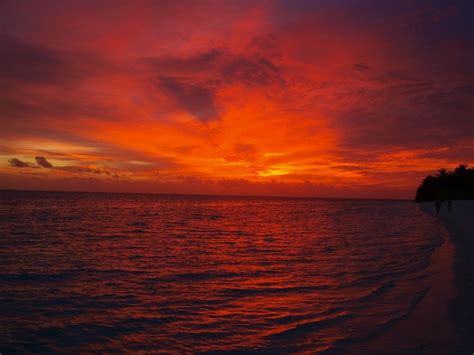 Purple Sunset In The Maldives Free Image Download