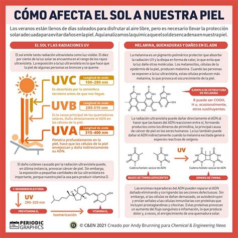 Infografias Periodicas La Química De Cómo Responde Nuestra Piel Al Sol